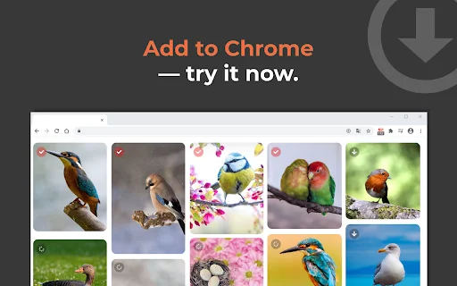 One-click Image Downloader – Grabit ডাউনলোড করুন – সেরা ইমেজ ডাউনলোডার - Screenshot 6