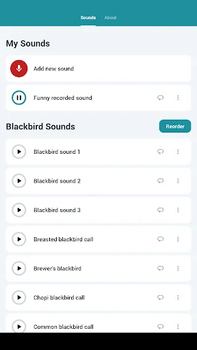 Blackbird Sounds ডাউনলোড করুন – প্রকৃতির সুরের সেরা অভিজ্ঞতা - Screenshot 11