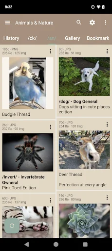 Read Chan অ্যাপ ডাউনলোড করুন – ৪চ্যান ব্রাউজিংয়ের সেরা অভিজ্ঞতা - Screenshot 1