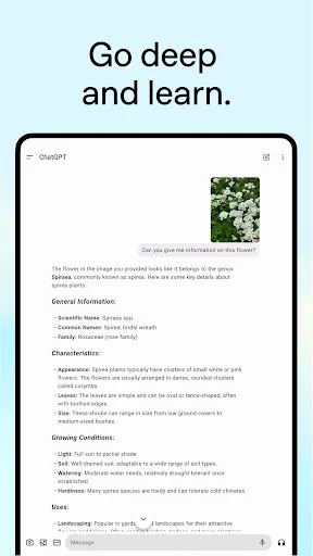 ChatGPT ডাউনলোড করুন – আপনার সেরা এআই সহকারী ব্যবহার করুন - Screenshot 16