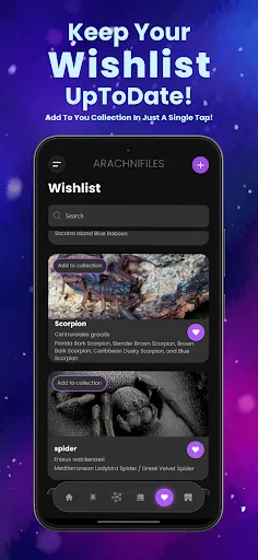 Arachnifiles: Pet Tracker ডাউনলোড করুন – মাকড়সা ও সরীসৃপ যত্ন নেওয়ার সহজ উপায় - Screenshot 6