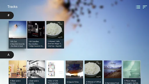 VLC for Android ডাউনলোড করুন – সেরা ফ্রি মিডিয়া প্লেয়ার - Screenshot 28