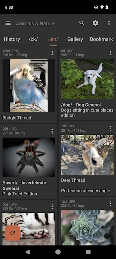 Read Chan অ্যাপ ডাউনলোড করুন – ৪চ্যান ব্রাউজিংয়ের সেরা অভিজ্ঞতা - Screenshot 2
