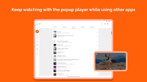 VLC for Android ডাউনলোড করুন – সেরা ফ্রি মিডিয়া প্লেয়ার - Screenshot 23
