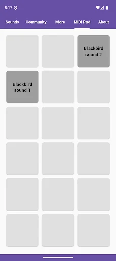 Blackbird Sounds ডাউনলোড করুন – প্রকৃতির সুরের সেরা অভিজ্ঞতা - Screenshot 5