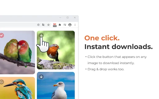 One-click Image Downloader – Grabit ডাউনলোড করুন – সেরা ইমেজ ডাউনলোডার - Screenshot 2
