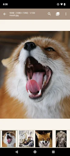 Read Chan অ্যাপ ডাউনলোড করুন – ৪চ্যান ব্রাউজিংয়ের সেরা অভিজ্ঞতা - Screenshot 5