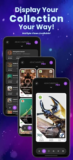 Arachnifiles: Pet Tracker ডাউনলোড করুন – মাকড়সা ও সরীসৃপ যত্ন নেওয়ার সহজ উপায় - Screenshot 3