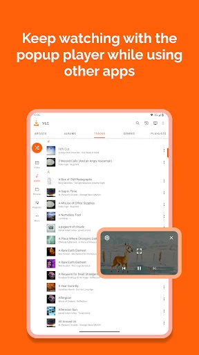 VLC for Android ডাউনলোড করুন – সেরা ফ্রি মিডিয়া প্লেয়ার - Screenshot 15