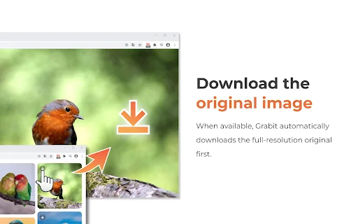 One-click Image Downloader – Grabit ডাউনলোড করুন – সেরা ইমেজ ডাউনলোডার - Screenshot 3