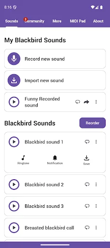 Blackbird Sounds ডাউনলোড করুন – প্রকৃতির সুরের সেরা অভিজ্ঞতা - Screenshot 1