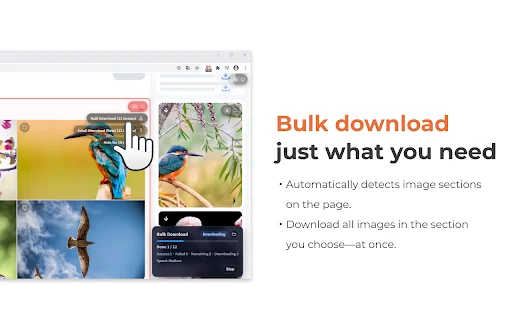 One-click Image Downloader – Grabit ডাউনলোড করুন – সেরা ইমেজ ডাউনলোডার - Screenshot 4