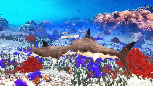 The Shark ডাউনলোড করুন – সেরা হাঙর শিকারের গেম এখন খেলুন - Screenshot 7