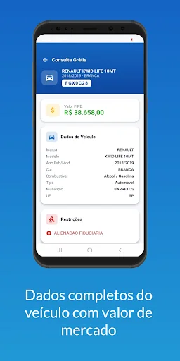 Consulta Veicular ডাউনলোড করুন – গাড়ির ইতিহাস ও ফাইন চেক করুন - Screenshot 2