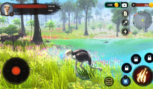 The Ostrich ডাউনলোড করুন – অনন্য অ্যানিমেল সিমুলেশন গেম - Screenshot 8