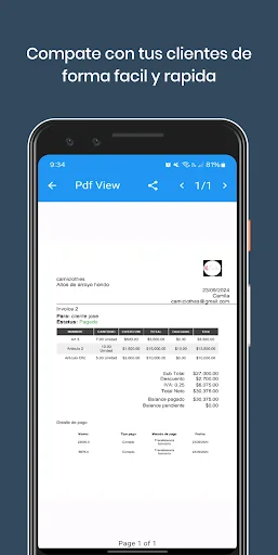 Budget Invoices Template ডাউনলোড করুন – পেশাদার ইনভয়েস তৈরি করুন - Screenshot 7