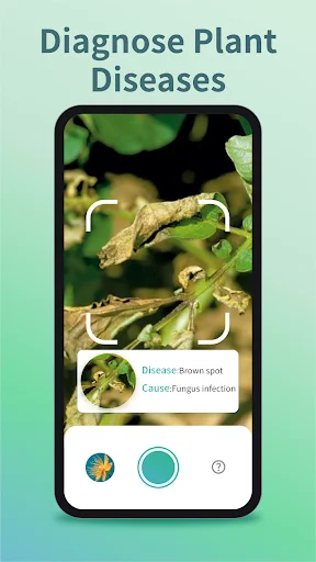 Plant Identifier & Care ডাউনলোড করুন – সেরা প্ল্যান্ট ডাক্তার - Screenshot 6