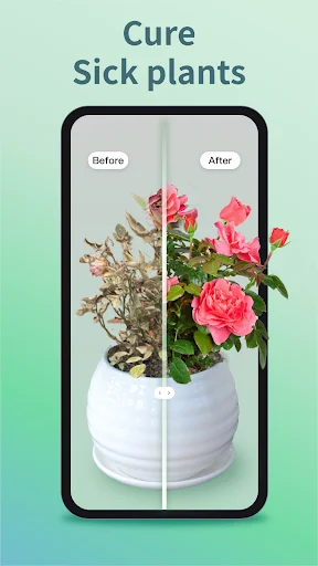 Plant Identifier & Care ডাউনলোড করুন – সেরা প্ল্যান্ট ডাক্তার - Screenshot 3