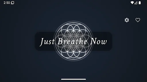 Just Breathe Now ডাউনলোড করুন – শ্বাস-প্রশ্বাসের ব্যায়ামের সেরা অ্যাপ - Screenshot 8