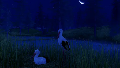 The White Stork ডাউনলোড করুন – সেরা বার্ড সিমুলেটর গেম - Screenshot 6