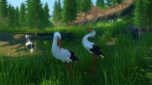 The White Stork ডাউনলোড করুন – সেরা বার্ড সিমুলেটর গেম - Screenshot 12