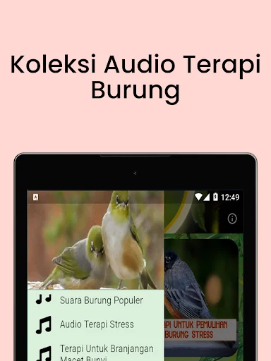 Terapi Kicau Burung Lengkap ডাউনলোড করুন – সেরা বার্ড থেরাপি অ্যাপ - Screenshot 12