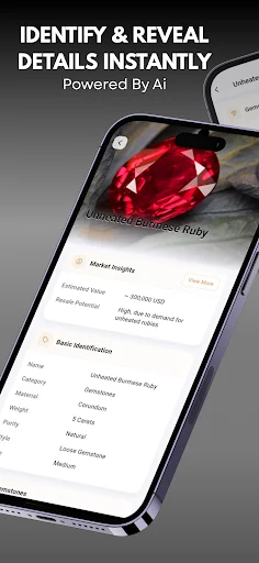 Jewelry Identifier ডাউনলোড করুন – সেরা রত্ন ও গয়না শনাক্তকারী অ্যাপ - Screenshot 7