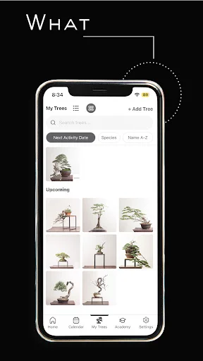 Mirai Mobile ডাউনলোড করুন – আপনার বনসাইয়ের সেরা গাইড - Screenshot 3