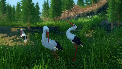 The White Stork ডাউনলোড করুন – সেরা বার্ড সিমুলেটর গেম - Screenshot 20