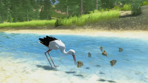 The White Stork ডাউনলোড করুন – সেরা বার্ড সিমুলেটর গেম - Screenshot 13