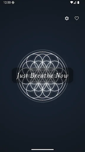 Just Breathe Now ডাউনলোড করুন – শ্বাস-প্রশ্বাসের ব্যায়ামের সেরা অ্যাপ - Screenshot 1