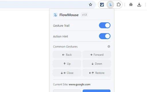FlowMouse ডাউনলোড করুন – ব্রাউজারের জন্য সেরা মাউস জেসচার এক্সটেনশন - Screenshot 5